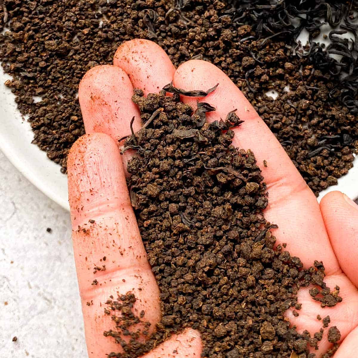A hand holding CTC black tea granules
