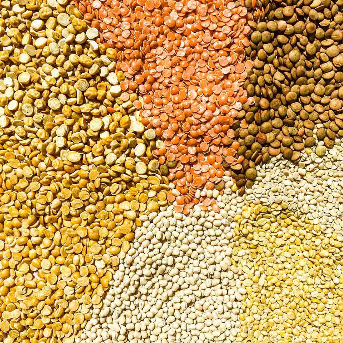 The Guide to Different Dal Varieties in Indian Cooking
