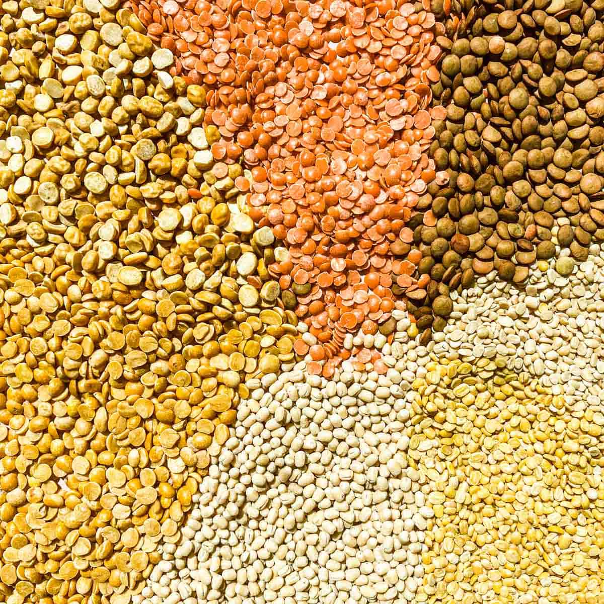 Different dal variations from moong, masoor, toor, and urad dal.