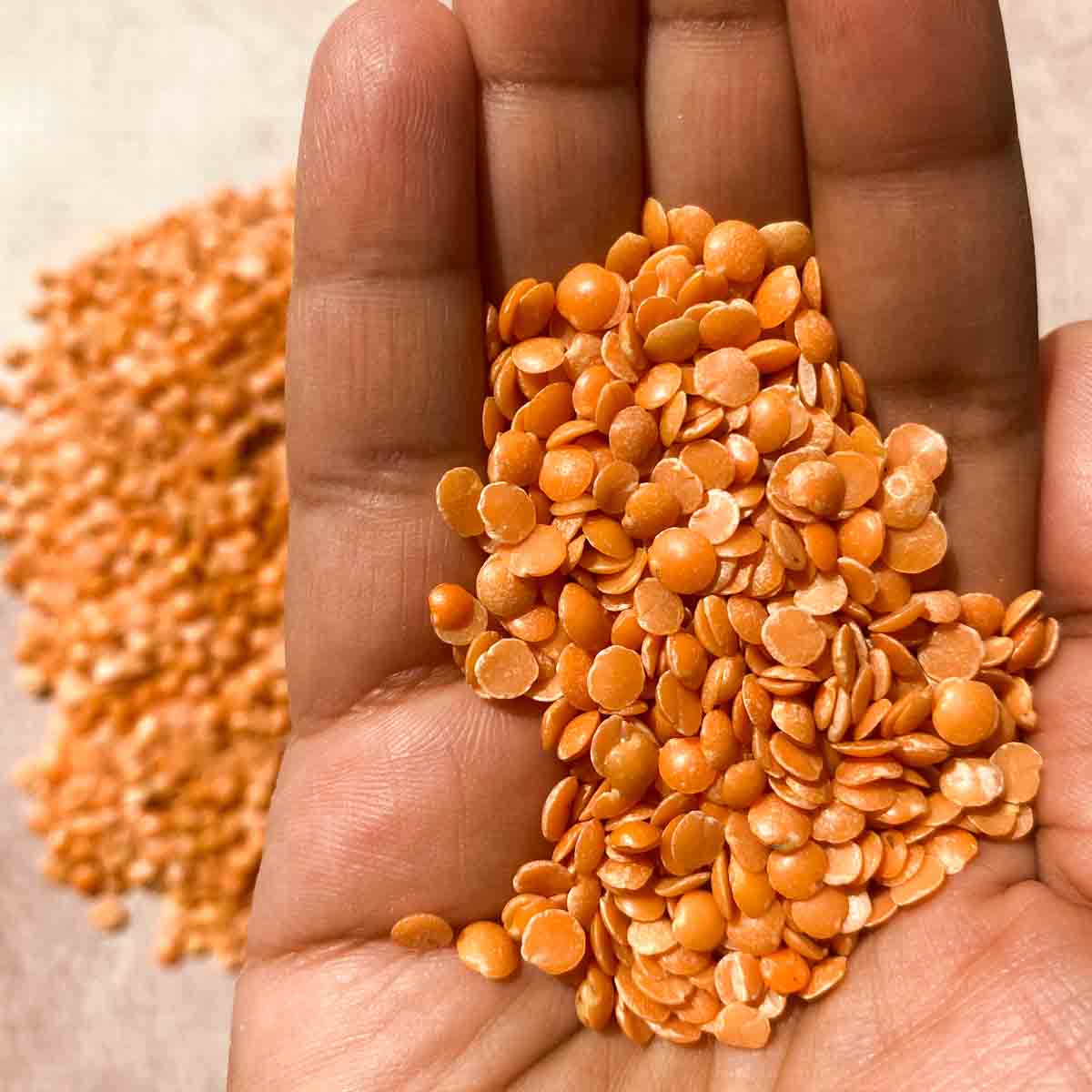 Split masoor dal aka red lentils in the palm of a hand