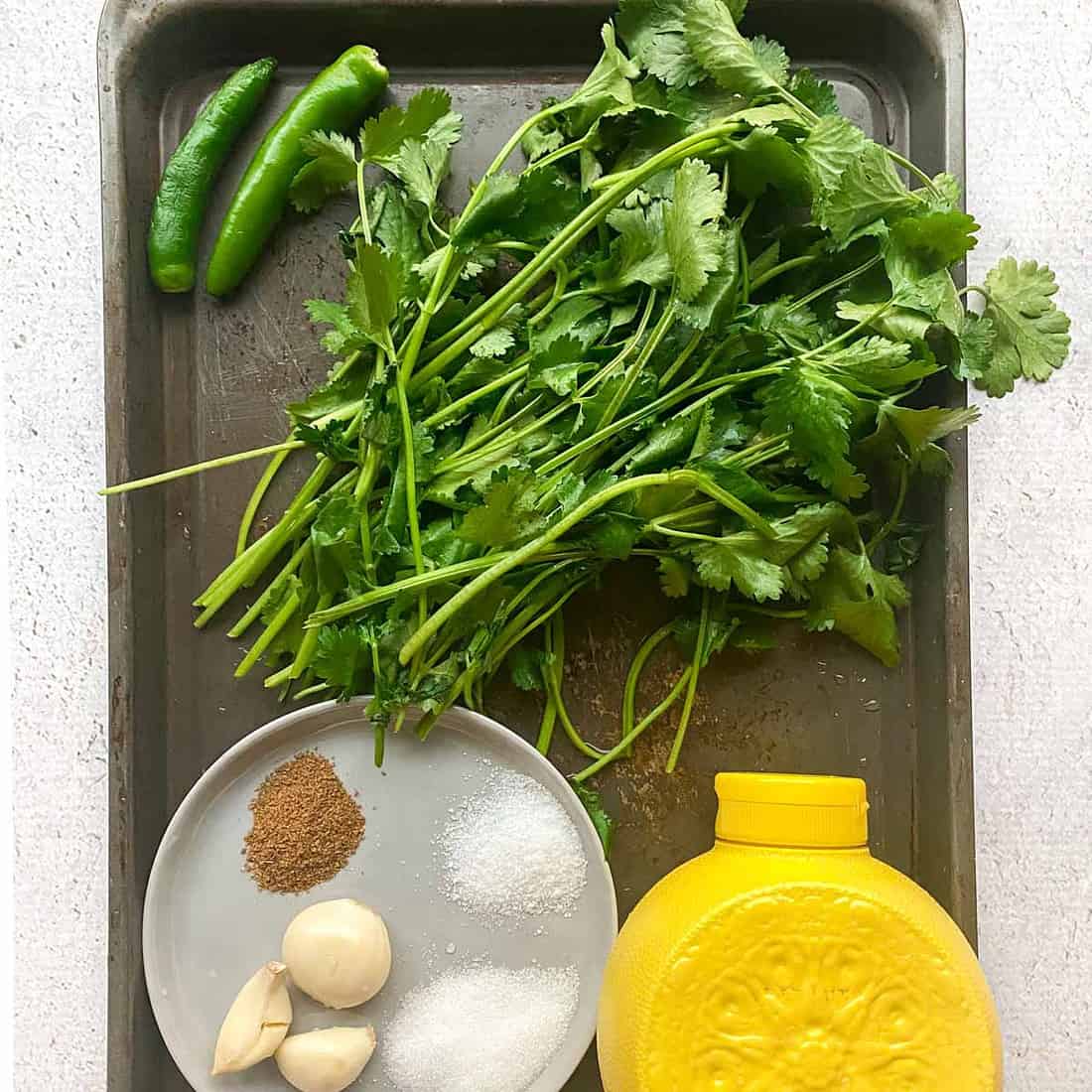 Spicy Indian Cilantro Mint Chutney Moon Rice