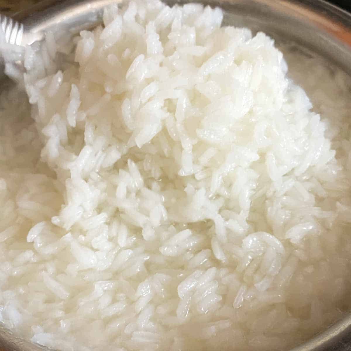 Basmati rice cooked in water for rice pudding