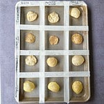 Sheet tray with puris made with 4 different flours and three different rolling techniques in a grid. From top to bottom are sooji, cream of wheat, fine sooji, and semolina flousr and from left to right are using the ball rolling technique, tortilla press, and then the cookie cutter method.