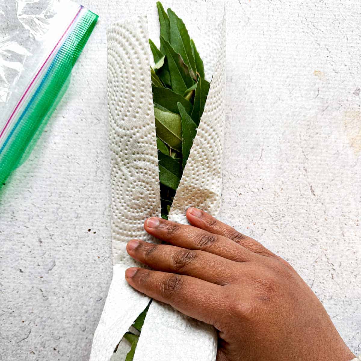 Curry leaves wrapped in a paper towel with a ziplog bag in the upper left hand corner