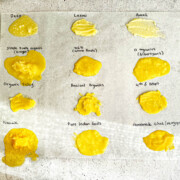 12 brands of ghee spread on parchment paper with the names of the brand above them in marker. Describing the brands from top to bottom and from left to right. Deep brand ghee is on top with a liquidy and grainy consistency that is white. Laxmi brand is creamy and pale white. Amul brand is grainy but solid and also pale. Next row has simple truth organic, 365 foods, and O Organics. Simple truth is liquidy, light yellow, and grainy. 365 foods is grainy, liquidy, and yellow. O organics is yellow and liquidy. Next row has organic valley that is smooth, creamy, and pale yellow. Ancient organics is creamy and light yellow. 4th & heart is light yellow and creamy. Nanak is bright yellow, grainy, and liquidy. Pure Indian foods is grainy, slightly liquidy, and light yellow. Last but not least is homemade ghee made from kerry gold butter and it is liquidy, slightly liquidy, and darker yellow.