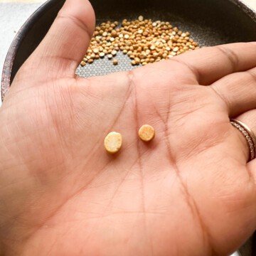 A hand holding two piece of chana dal. The left is an untoasted chana dal that is pale and a bit bigger. The right is a golden piece that is toasted and a bit smaller.