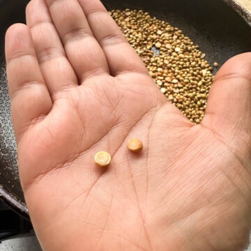 A hand holding two pieces of chana dal. The left is untoasted chana dal that is pale and the right is a golden piece of chana dal that has been adequately roasted. In the background are whole coriander seeds and chana dal that are being toasted for sambar podi.