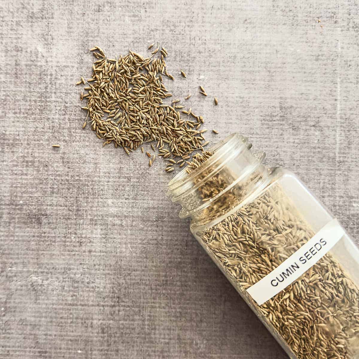 Cumin seeds poured out of a spice container.